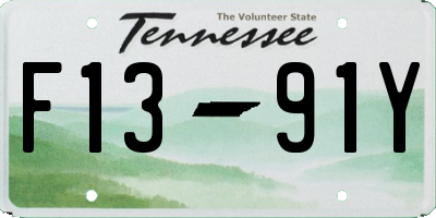 TN license plate F1391Y