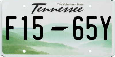 TN license plate F1565Y