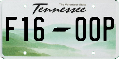 TN license plate F1600P