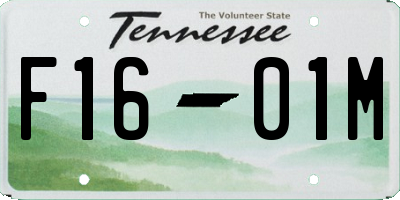 TN license plate F1601M