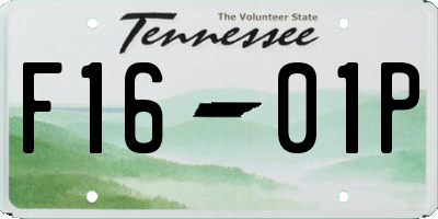 TN license plate F1601P