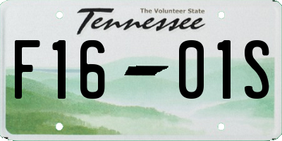 TN license plate F1601S