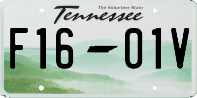 TN license plate F1601V