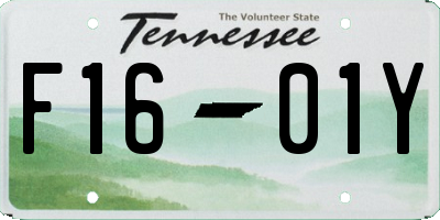 TN license plate F1601Y