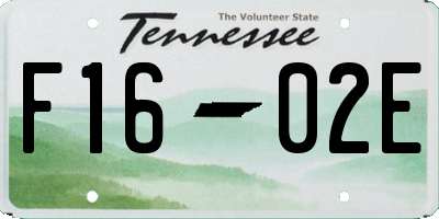 TN license plate F1602E