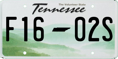 TN license plate F1602S