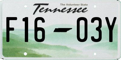 TN license plate F1603Y