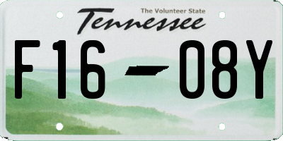 TN license plate F1608Y