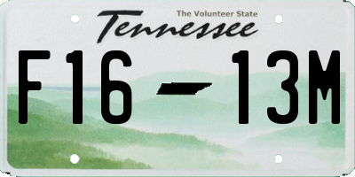 TN license plate F1613M