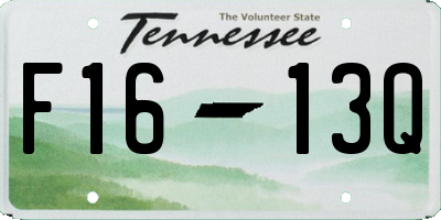 TN license plate F1613Q