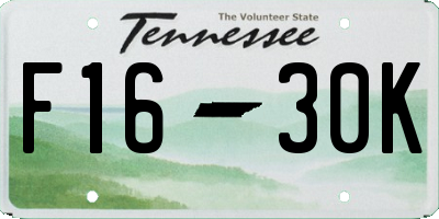 TN license plate F1630K