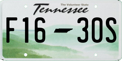 TN license plate F1630S