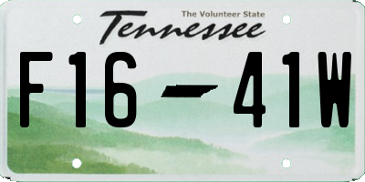 TN license plate F1641W