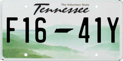TN license plate F1641Y