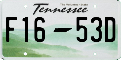 TN license plate F1653D