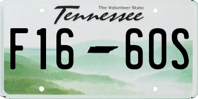 TN license plate F1660S
