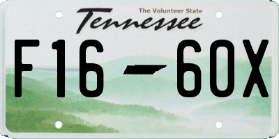 TN license plate F1660X