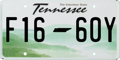 TN license plate F1660Y