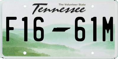 TN license plate F1661M