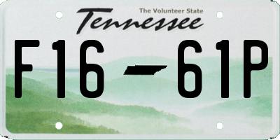 TN license plate F1661P