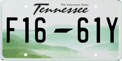 TN license plate F1661Y