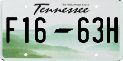 TN license plate F1663H