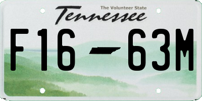 TN license plate F1663M