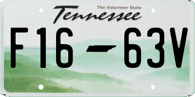 TN license plate F1663V