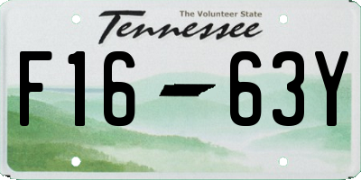 TN license plate F1663Y