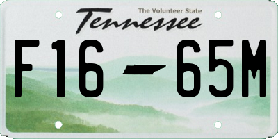 TN license plate F1665M
