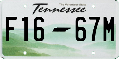 TN license plate F1667M
