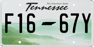 TN license plate F1667Y