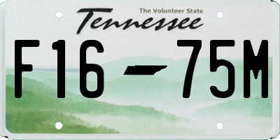 TN license plate F1675M