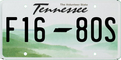 TN license plate F1680S