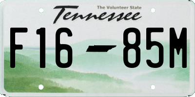 TN license plate F1685M