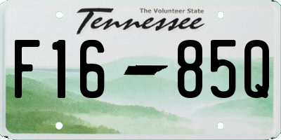 TN license plate F1685Q