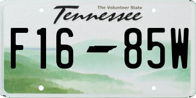 TN license plate F1685W