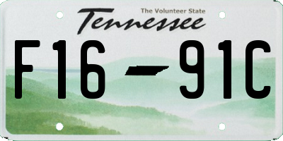 TN license plate F1691C