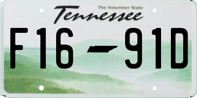 TN license plate F1691D