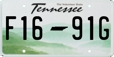 TN license plate F1691G