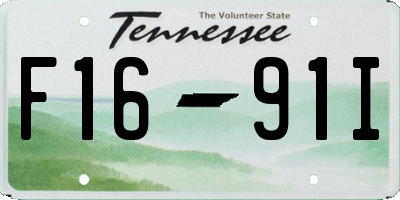 TN license plate F1691I