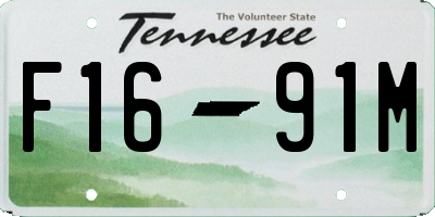 TN license plate F1691M