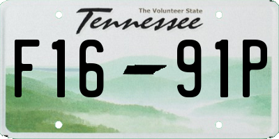 TN license plate F1691P