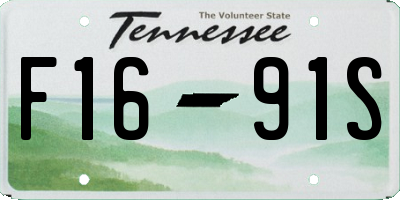 TN license plate F1691S