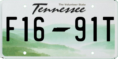 TN license plate F1691T