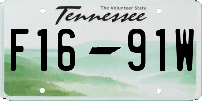 TN license plate F1691W