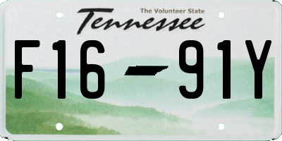 TN license plate F1691Y