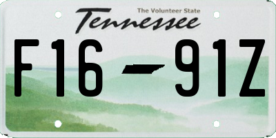 TN license plate F1691Z
