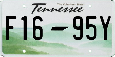 TN license plate F1695Y