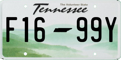 TN license plate F1699Y